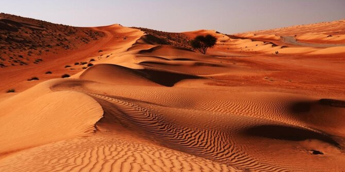Wahiba Sands