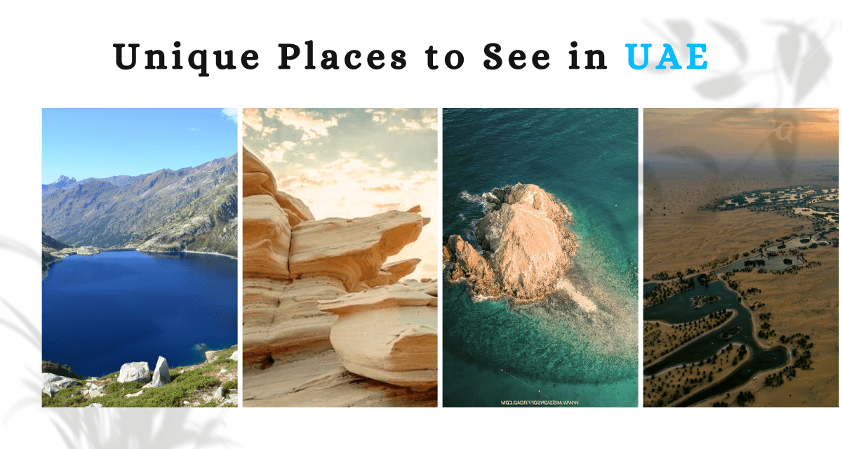 Unique Places to See in UAE